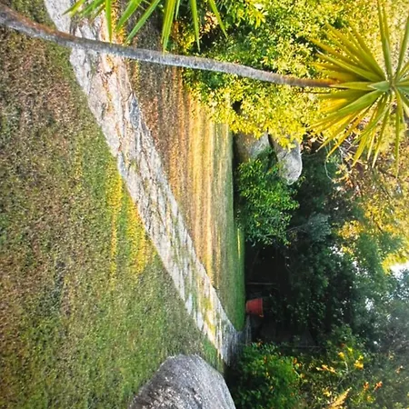 Vila Belvedere